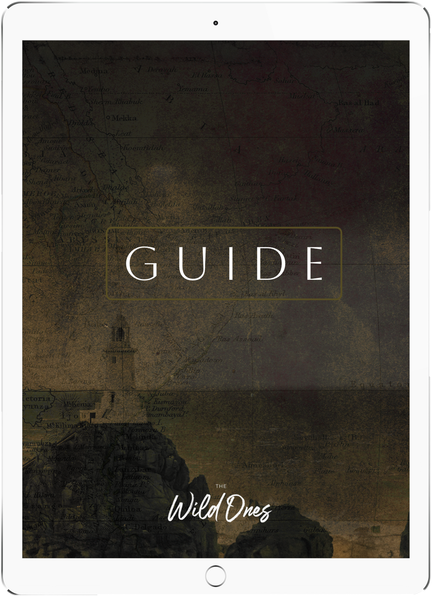 The Wild Ones: Study Guide - Digital